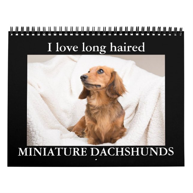 I LOVE long haired MINIATURE DACHSHUNDS Calendar (Cover)