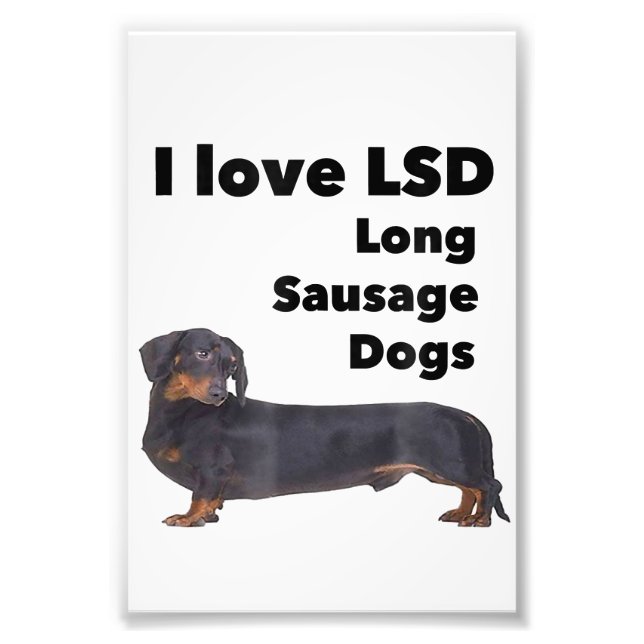 I Love Long Sausage Dogs Funny Wiener Dachshund Photo Print (Front)