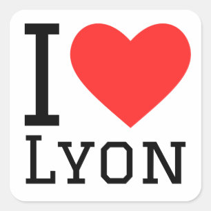 I love lyon square sticker