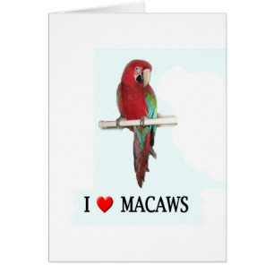 I love Macaws