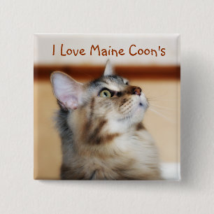 I Love Maine Coon's Badge - Maine Coon Kitten