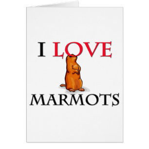 I Love Marmots