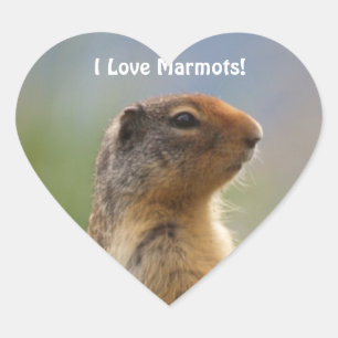 I Love Marmots Wildlife Photo Heart Sticker