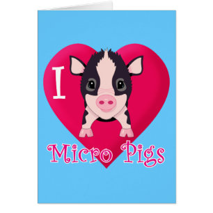 I Love Micro Pigs