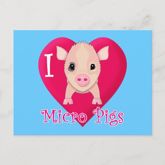 I Love Micro Pigs Postcard (Front)