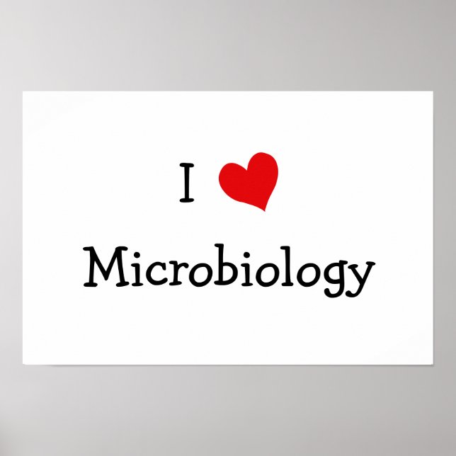 I Love Microbiology Poster (Front)