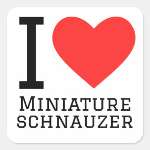 I love miniature schnauzer  square sticker