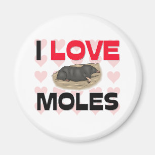 I Love Moles Magnet