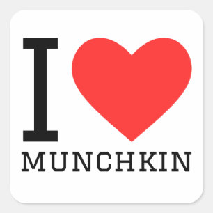 I love munchkin  square sticker