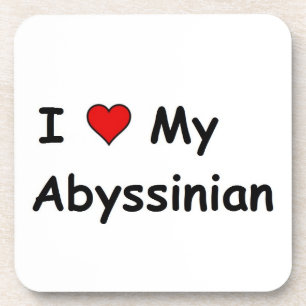 I Love My Abyssinian Coaster