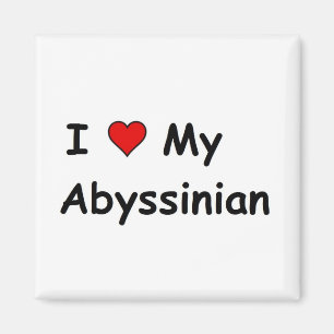 I Love My Abyssinian Magnet