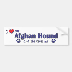 I Love My Afghan Hound (Female Dog) Bumper Sticker