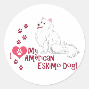 I Love My American Eskimo Dog! Classic Round Sticker