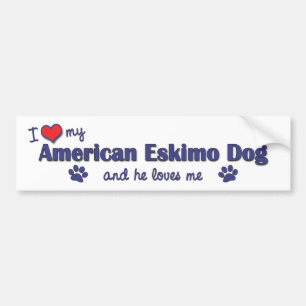 I Love My American Eskimo Dog (Male Dog) Bumper Sticker