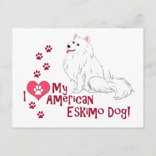 I Love My American Eskimo Dog! Postcard