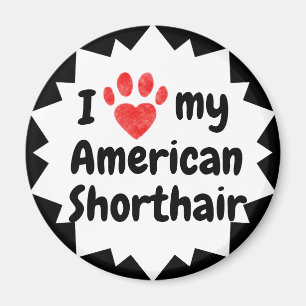I Love My American Shorthair Cat Magnet