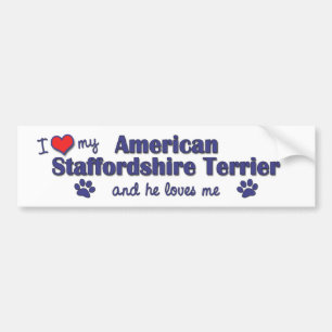 I Love My American Staffordshire (Male Dog) Bumper Sticker