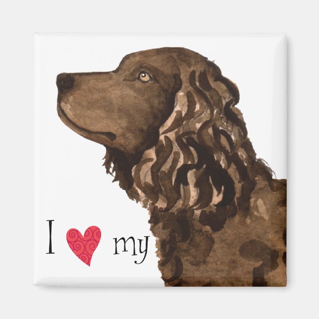 I Love my American Water Spaniel Magnet (Front)