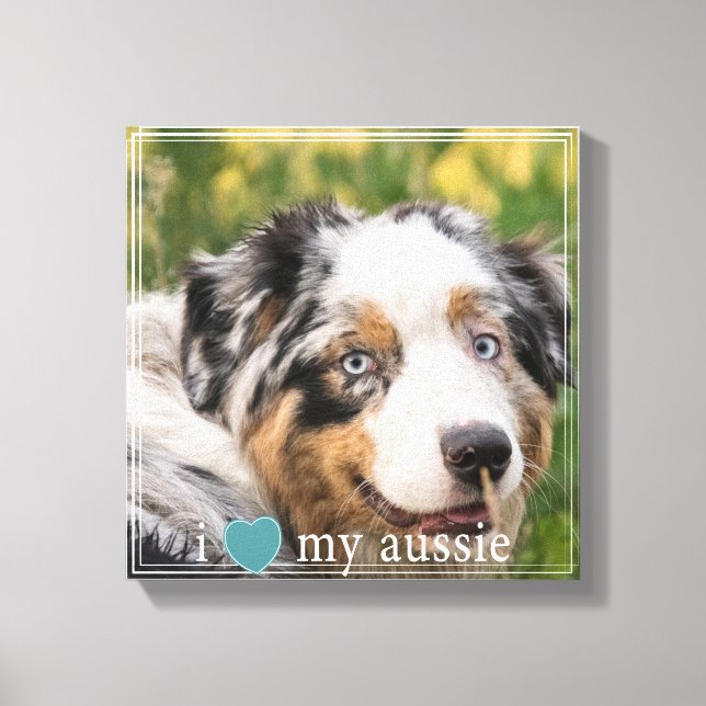 I love my Aussie Australian Shepherd White Border Canvas Print (Front)
