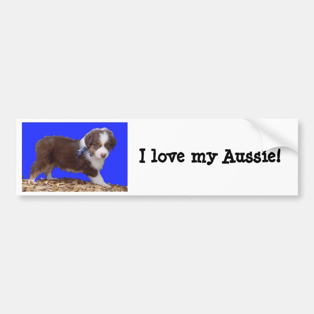 I love my Aussie! Bumper Sticker (Front)