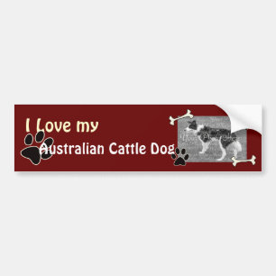 I love my Australian Cattle Dog Bumper Sticker