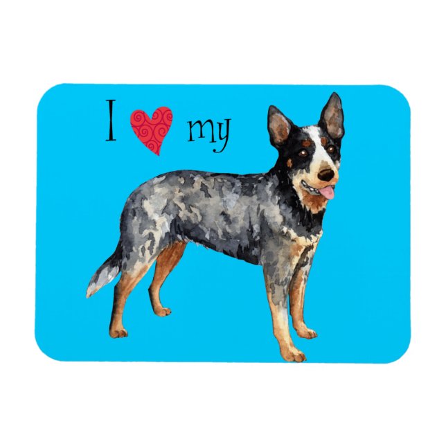 I Love my Australian Cattle Dog Magnet (Horizontal)