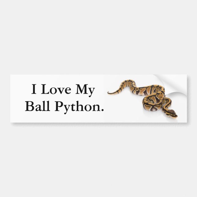 I Love my Ball Python. Bumper Sticker (Front)