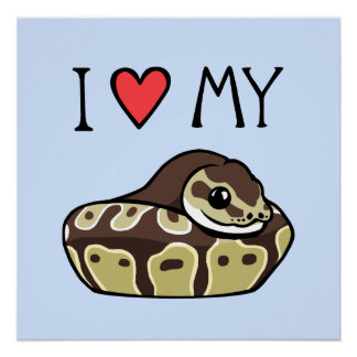 "I Love My Ball Python" Cute Snake Drawing Poster