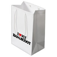 I LOVE MY BANDICOOT