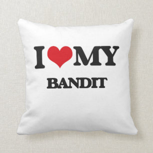 I love my Bandit Cushion