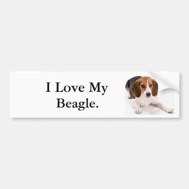 I Love My Beagle. Bumper Sticker (Front)