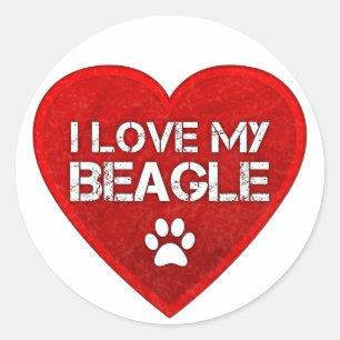 I Love my Beagle Classic Round Sticker