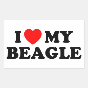 I Love my Beagle Sticker