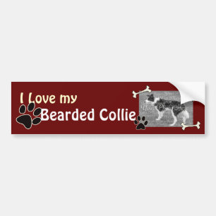 I love my Bearded Collie Bumper Sticker