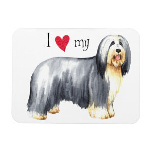 I Love my Bearded Collie Magnet
