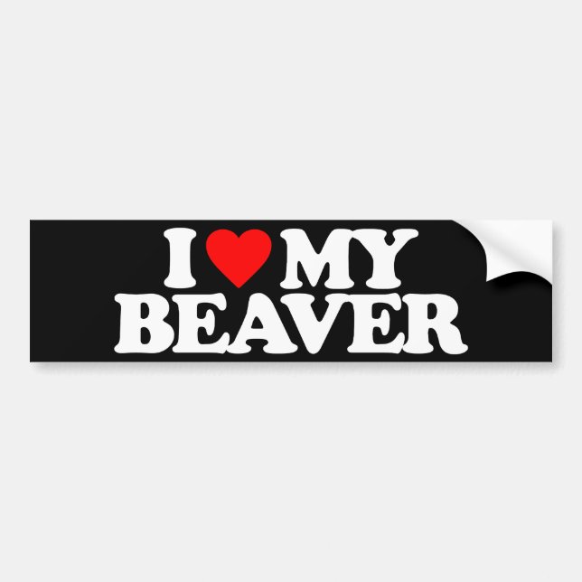 I LOVE MY BEAVER BUMPER STICKER (Front)