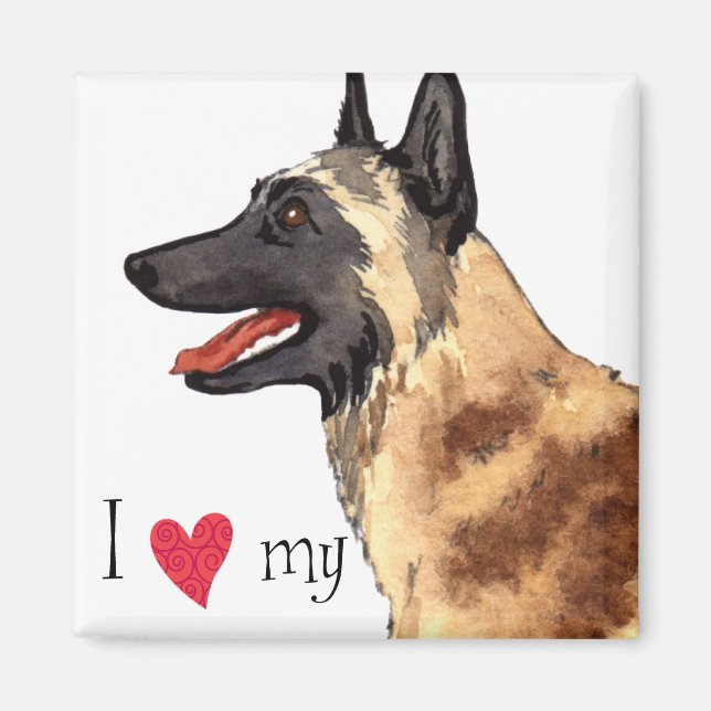 I Love my Belgian Malinois Magnet (Front)