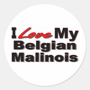 I Love My Belgian Malinois Merchandise Classic Round Sticker