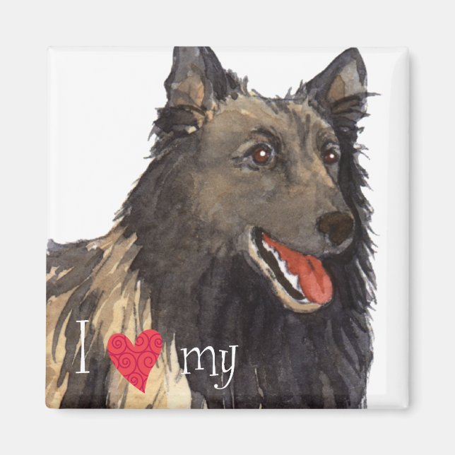 I Love my Belgian Tervuren Magnet (Front)