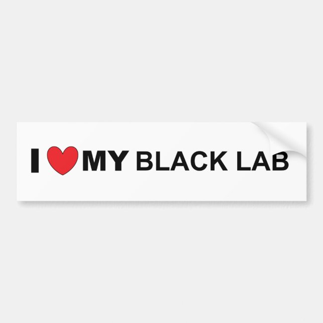 I Love my black lab Bumper Sticker (Front)