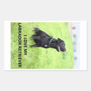 I Love My Black Labrador Retriever Rectangular Sticker
