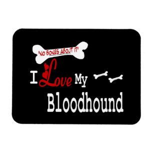 I Love My Bloodhound Magnet