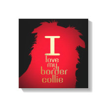 I LOVE MY BORDER COLLIE