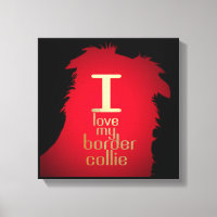 I LOVE MY BORDER COLLIE