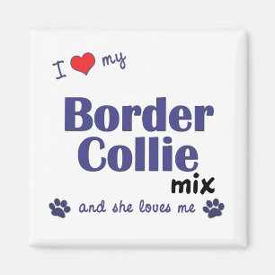 I Love My Border Collie Mix (Female Dog) Magnet