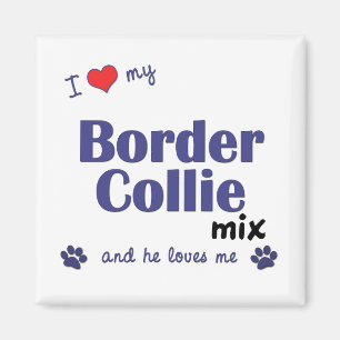 I Love My Border Collie Mix (Male Dog) Magnet