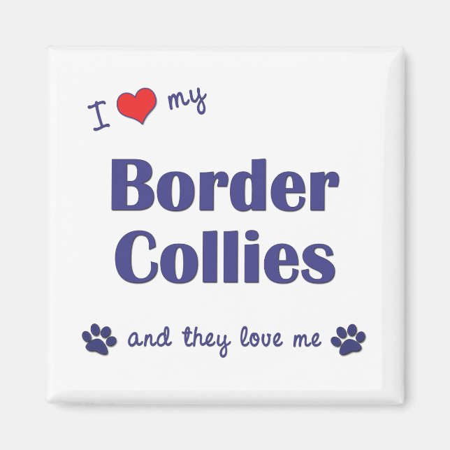 I Love My Border Collies (Multiple Dogs) Magnet (Front)