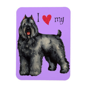 I Love my Bouvier Magnet