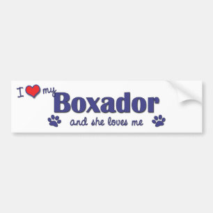I Love My Boxador (Female Dog) Bumper Sticker