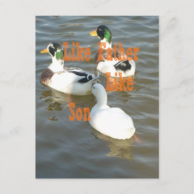 I love my Boy like father like son Postcard (Front)